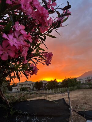 WhatsApp Image 2024-06-01 at 21.17.40